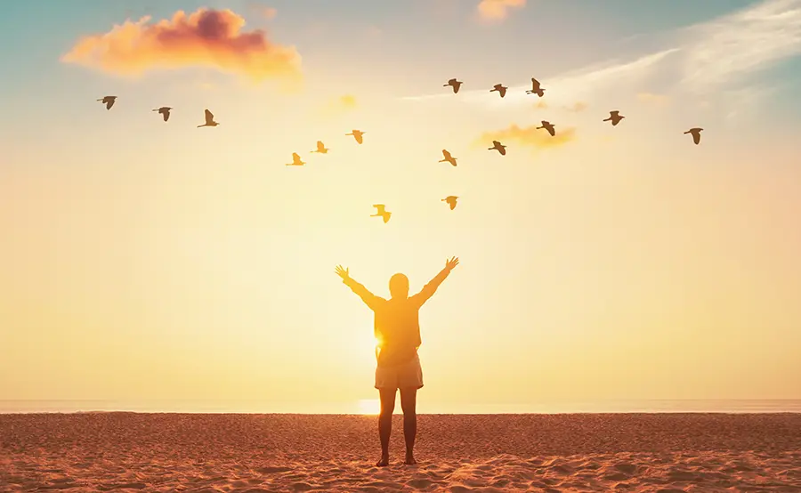 Gründung und Satzung